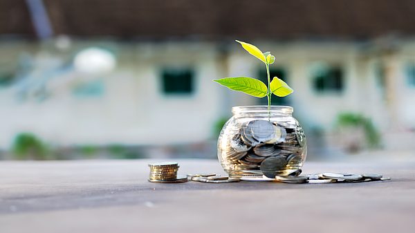 Pflanze wächst aus einem Glas mit Geld